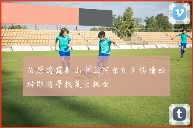 苗原透露泰山中卫阿尔瓦罗伤情好转即将寻找复出机会