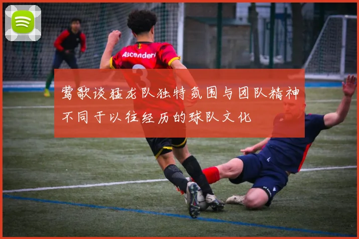 莺歌谈猛龙队独特氛围与团队精神不同于以往经历的球队文化